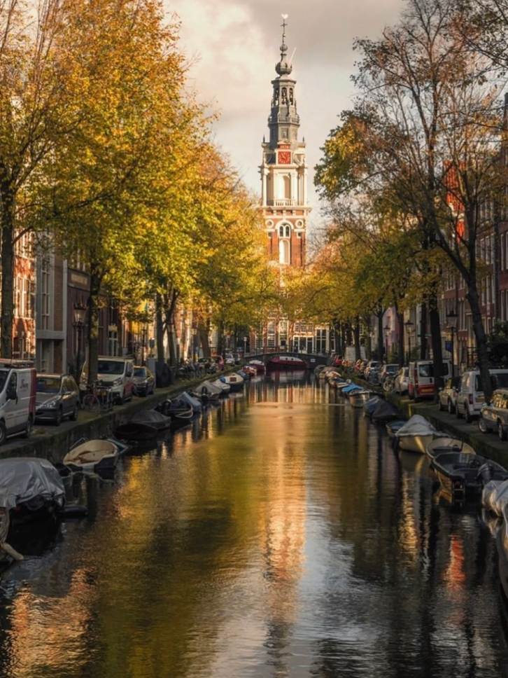 ams